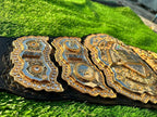 AEW CHAMPION HEAVYWEIGHT CNC MADE CHAMPIONSHIP BELT