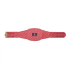 Detroit Pistons NBA Championship Belt