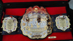IWGP V4 Heavyweight Zinc Championship Belt