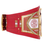 San Francisco 49ers Championship Belt