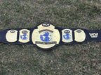 WCW World Tag Team 24K Gold Championship Belt