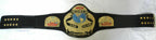 WCW World Tag Team Brass Championship Belt