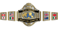MBCB-160 Custom Design Championship Belt